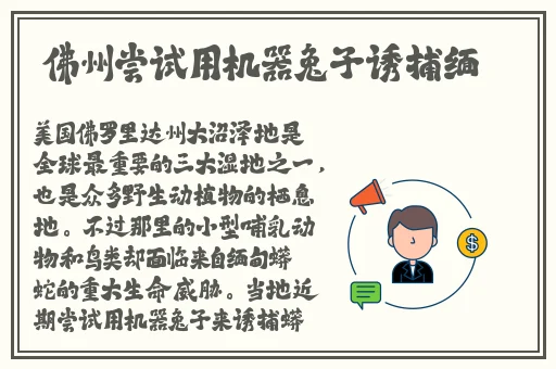 丝瓜向日葵草莓奶茶